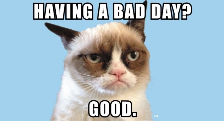 The Grumpy Cat Craze Continues into the New Year