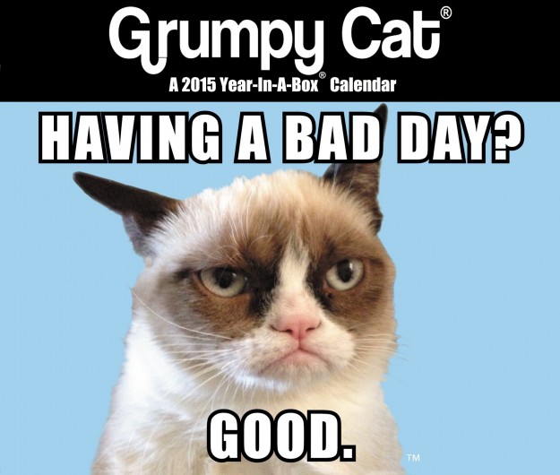 Grumpy Cat Mini Desk Calendar