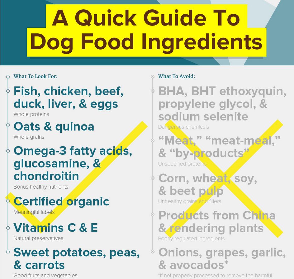 best dog food ingredients