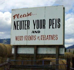 neuter-pet